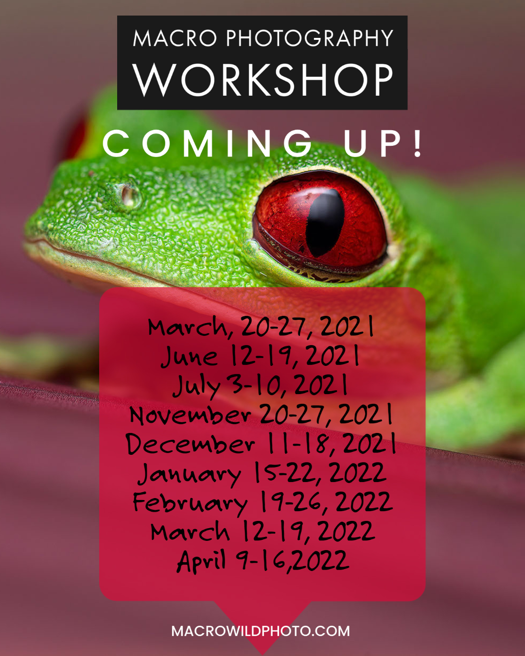 Flyer WS Costa Rica dates availables