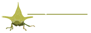 Macro & Wild Photography Logo